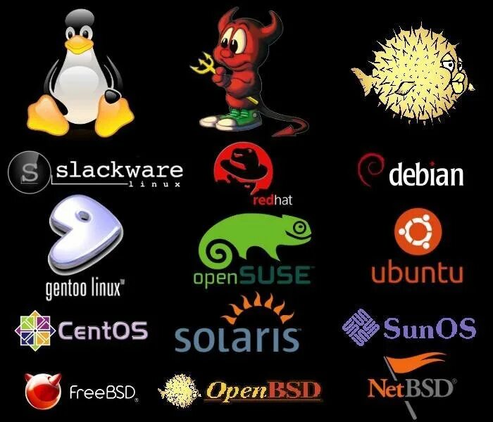 Bsd unix. Bsd операционная система. bsd и линукс. linux чертик. freebsd linux.
