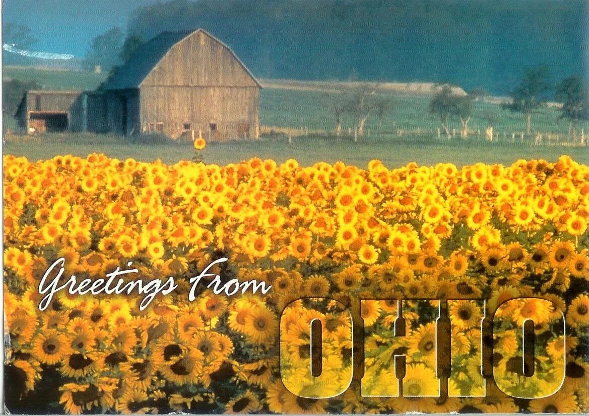 Remember remember oh oh. Ohio Sunflowers fields. Sunflowers Scooters Oh my.