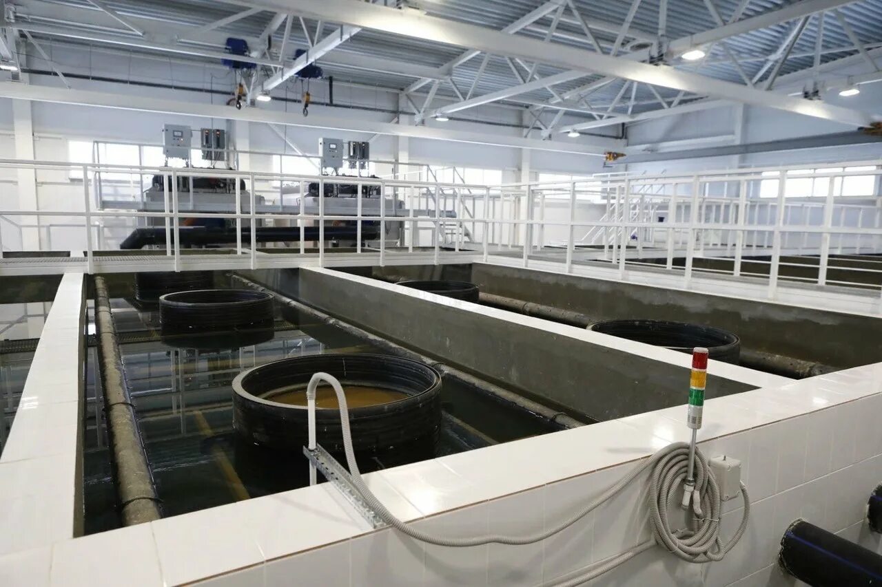 Тюмень водоканал очистные сооружения. Правохеттинский очистные сооружения. Водопроводные очистные сооружения кузьмолово. Водопроводные очистные сооружения. Очистные сооружения г.