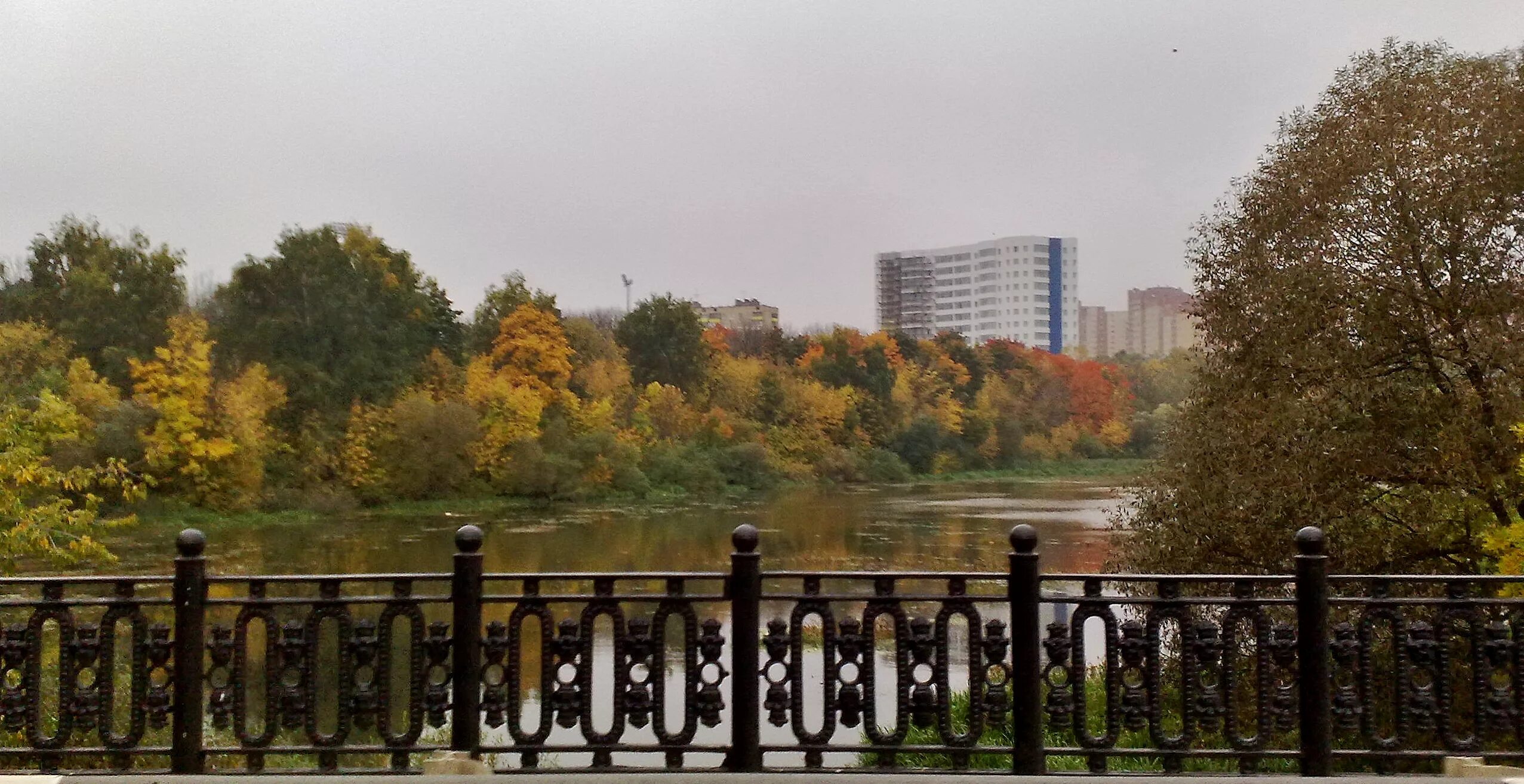 Едем в химки. Исток реки химки. долина реки химки. химки москва река. парк долина реки химка.