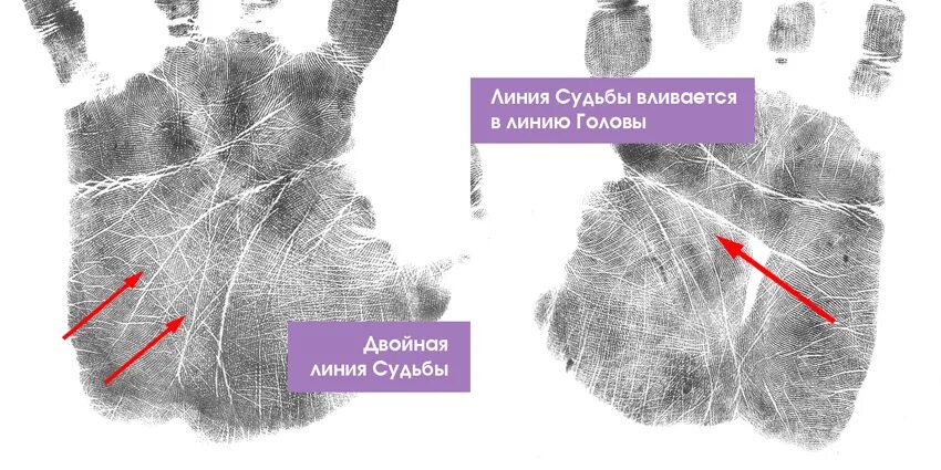 Линии судьбы читать. Линии судьбы. линии от линии судьбы. ответвления от линии судьбы.
