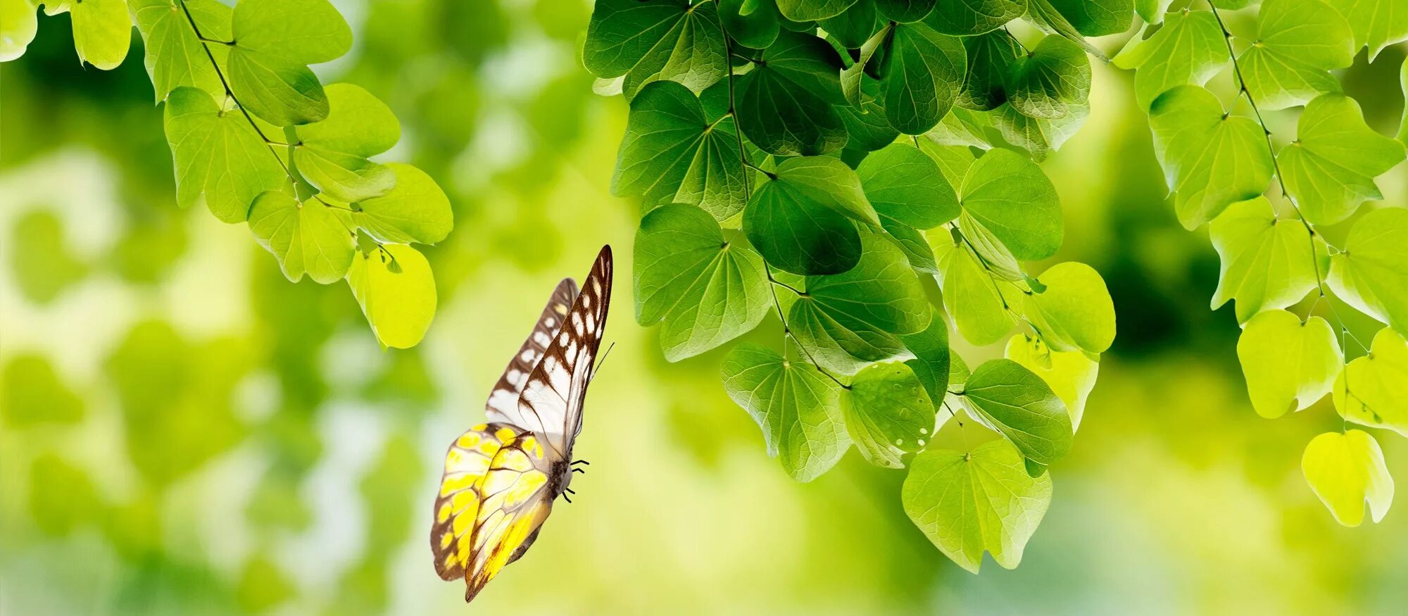 Смартфон мегафон login 1. Мегафон-личный кабинет по номеру. Мегафон логин приложения. Личный кабинет мегафон войти. Мегафон логин приложения.