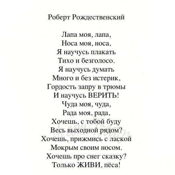 Стих носа моя носа. Лапа моя лапа носа моя носа Рождественский. Стихотворение Рождественского лапа моя лапа. Носа моя носа лапа моя лапа стих.