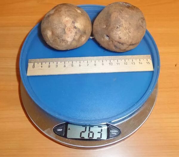 200 Грамм картошки. Вареный картофель 200 грамм. 100 Грамм картофеля. Картофель вес.