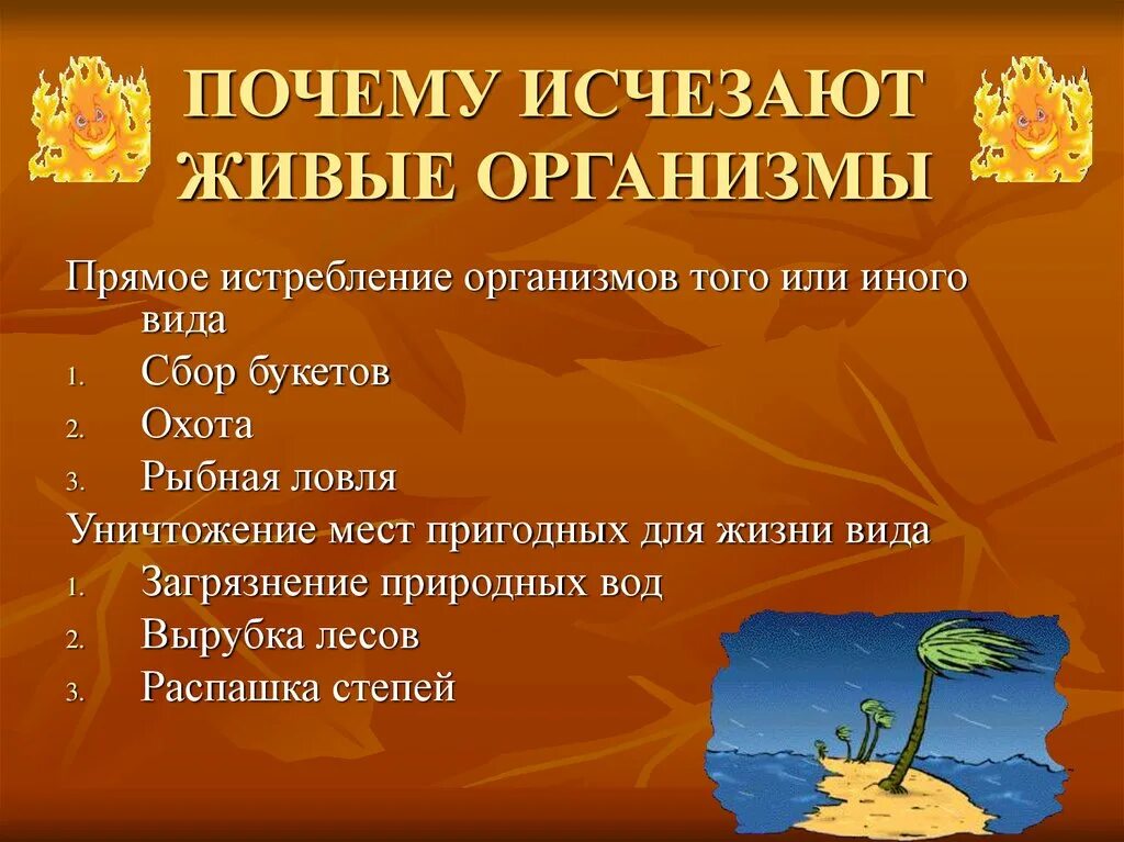 Почему исчезают изображения