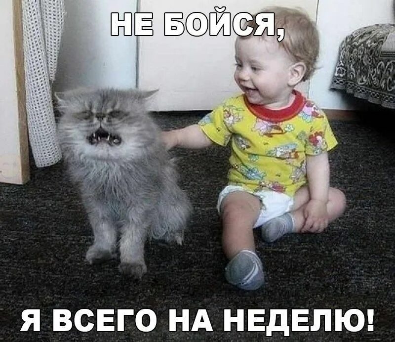 На всем от до