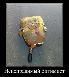 Оптимист применение