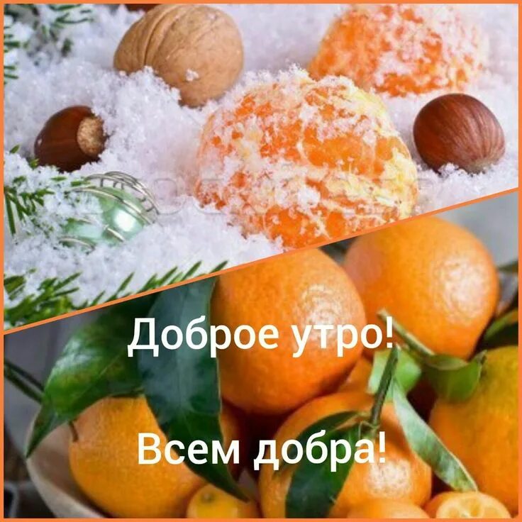 Pin by Evgenia Pustovit on ДОБРОЕ УТРО! Food, Vegetables, Tomato
