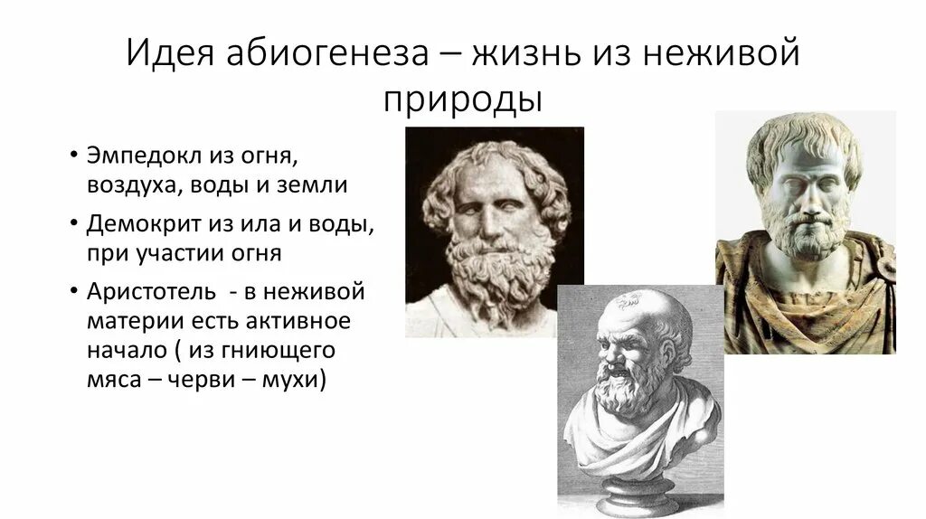 Гипотеза аристотеля. Аристотель Демокрит Эмпедокл. Теория зарождения жизни Демокрита. Теория абиогенеза кратко. Идея абиогенеза.