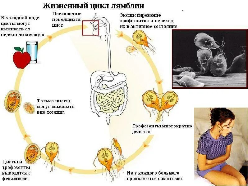 Симптомы простейших у детей