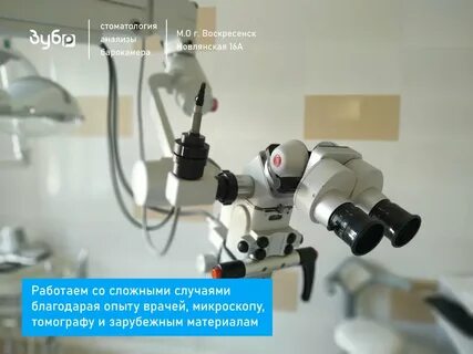 Зубр воскресенск