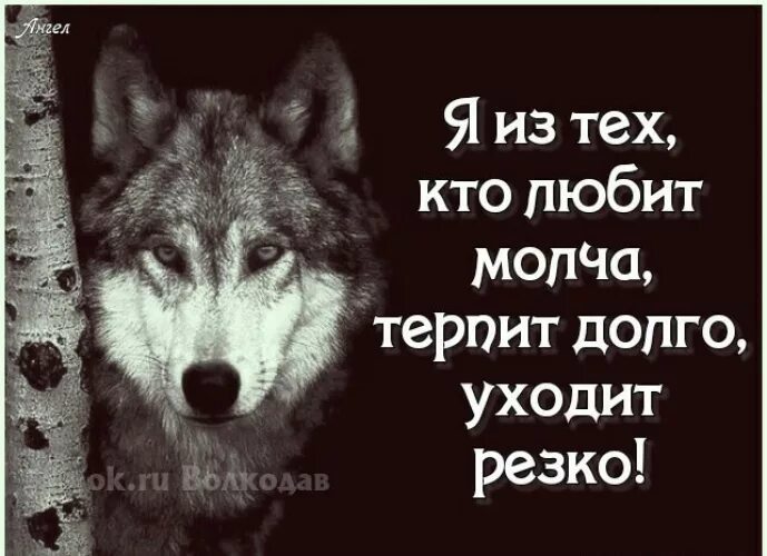 Д терпел. Люблю молча терплю долго ухожу резко. Молча уйти. Я из тех кто любит молча терпит долго и уходит резко. Уходи молча.