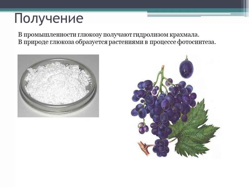 Из чего получают сахар. Глюкоза в природе образуется в процессе. Глюкоза виноградный сахар. В промышленности глюкозу получают. В промышленности глюкозу получают гидролизом крахмала.