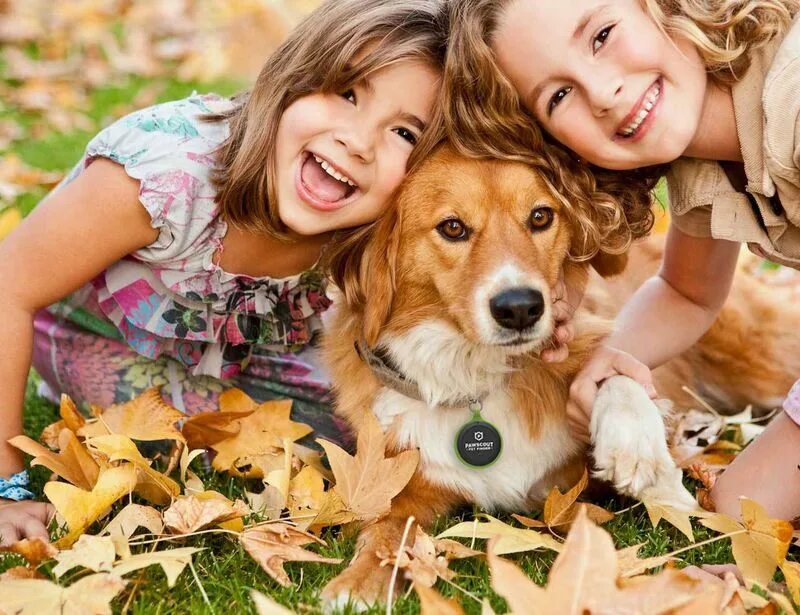 Две девочки и собака. Собака для детей. Девочка с собакой. Для детей. Животные. Pet sister
