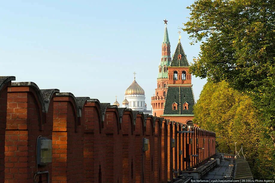 Высота стен кремля. Кремль Кремлевская стена. Стены Московского Кремля внутри. У кремлевской стены. Мерлоны Московского Кремля.