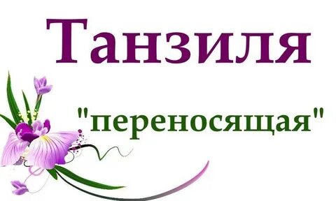 Танзиля значение имени