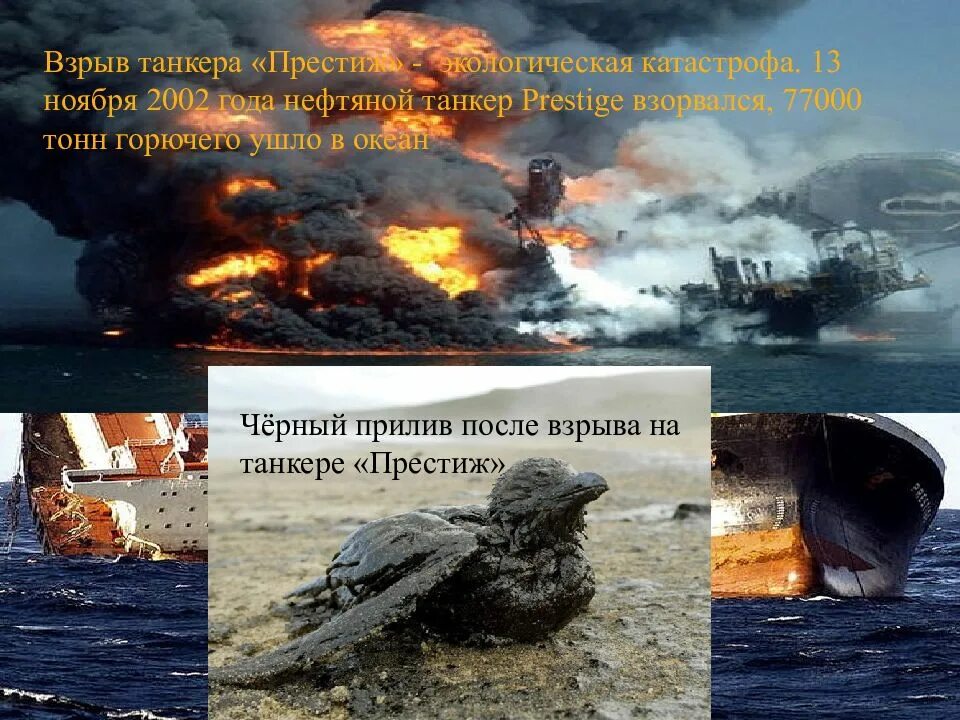 Сведения о недавних экологических катастрофах