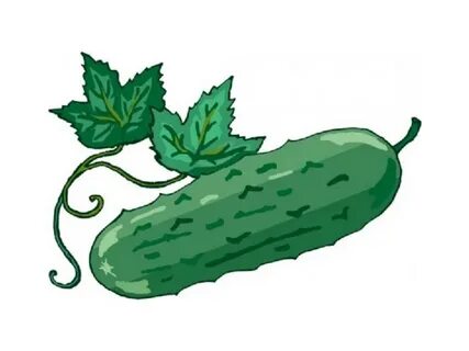 Саратов қаласындағы Гвардейская көшесіндегі қонақүйден алынған порно видеолар