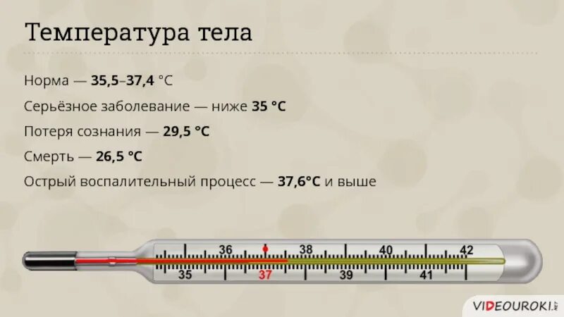 Почему низкая температура тела. Температура тела. Таблица нормы температуры тела. Нормальная температура человека. Норма температуры у человека.