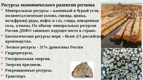 Природные ресурсы дальнего востока кратко