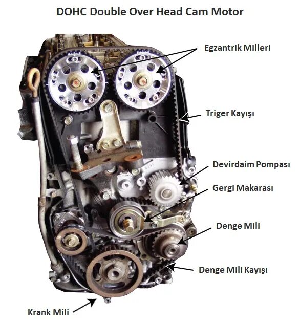 Двигатель dohc 16. Привод клапанов dohc. dohc 16. газораспределительный механизм dohc. привод грм ohv.