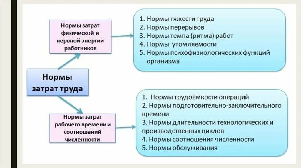 Виды норм в экономике. Нормирование труда. Нормы труда на предприятии. Организация и нормирование труда. Основные виды норм труда.