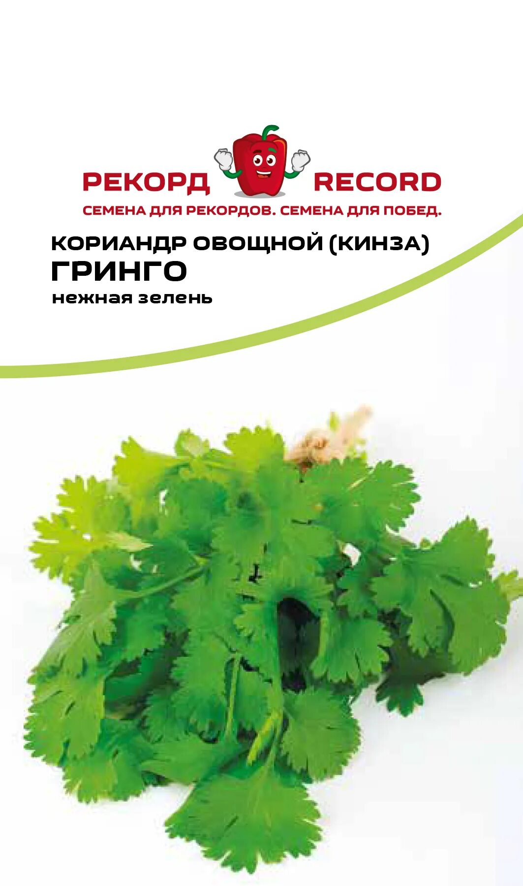 Кориандр овощной. Кинза. Кориандр купить. Кинза Гринго фото.