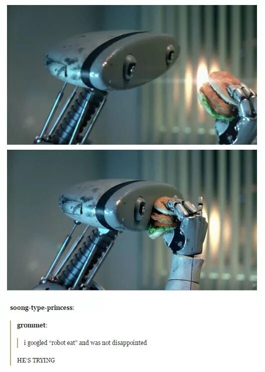 Did you know that there are robots