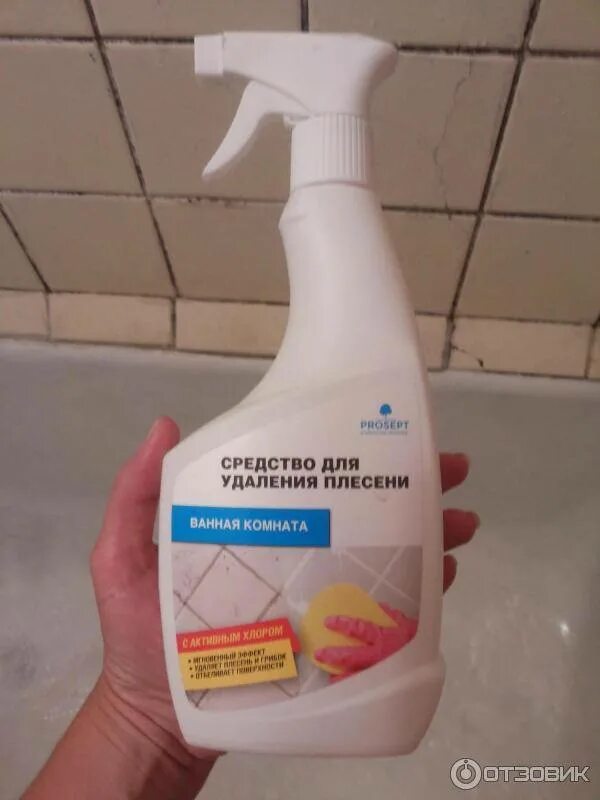 Удалить запах сырости