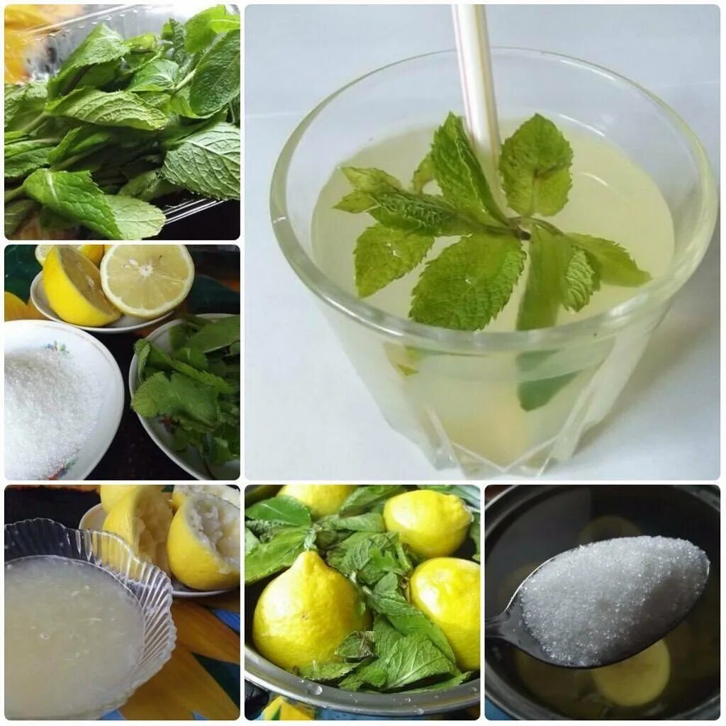 Мятный лимонад. Лимонад Ингредиенты. Лимонад с листьями мяты и цедрой лимона. Мята и лимонный лист. Домашний лимонад рецепт мята
