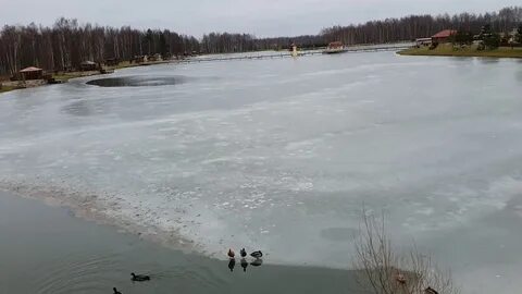 Январе ло