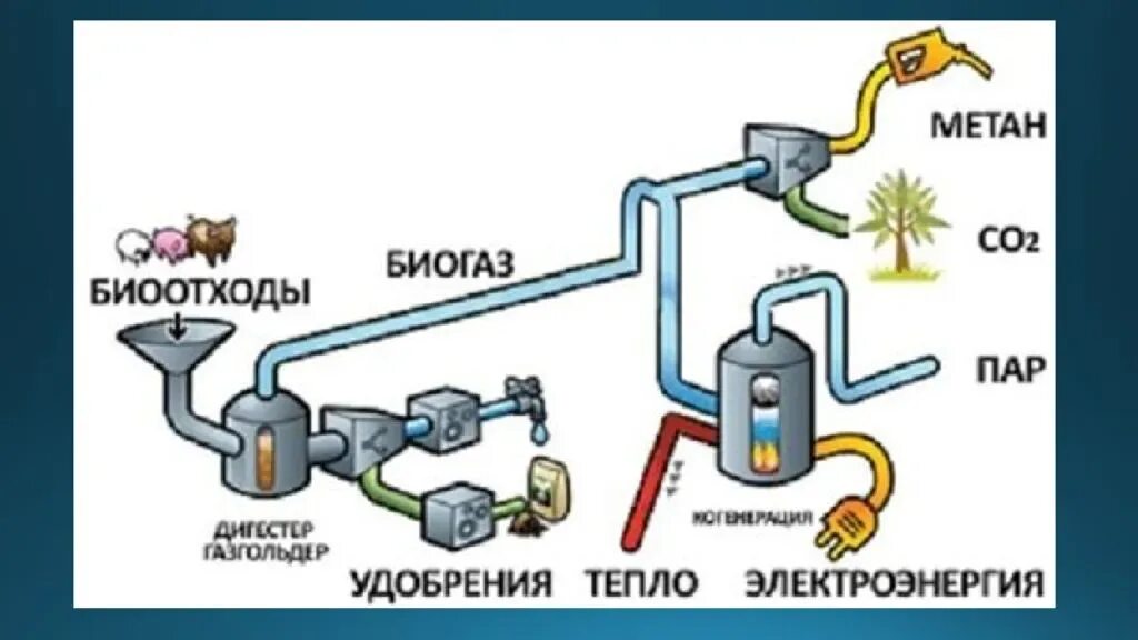 Метан в сельском хозяйстве. Биогаз схема переработки. Схема переработки органических отходов. Переработка навоза в биогаз схема. Схема переработки навоза в удобрение.