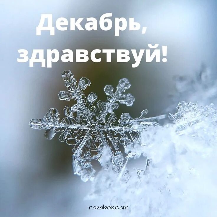 Особенный декабрь. Здравствуй декабрь. привет декабрь. здравствуй зима. открытка здравствуй декабрь.