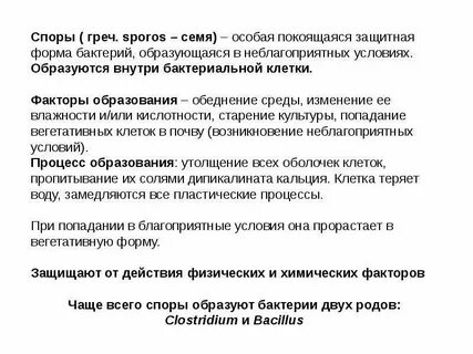 Покоящиеся формы