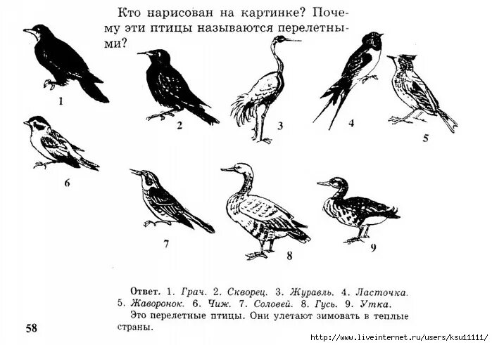 Перелетные птицы задания. Перелетные птицы весной картинки для детей. Раскраски: перелетные птицы, Зяблик, Ласточка, журавль, Жаворонок. Птицы задания малышам с картинками.