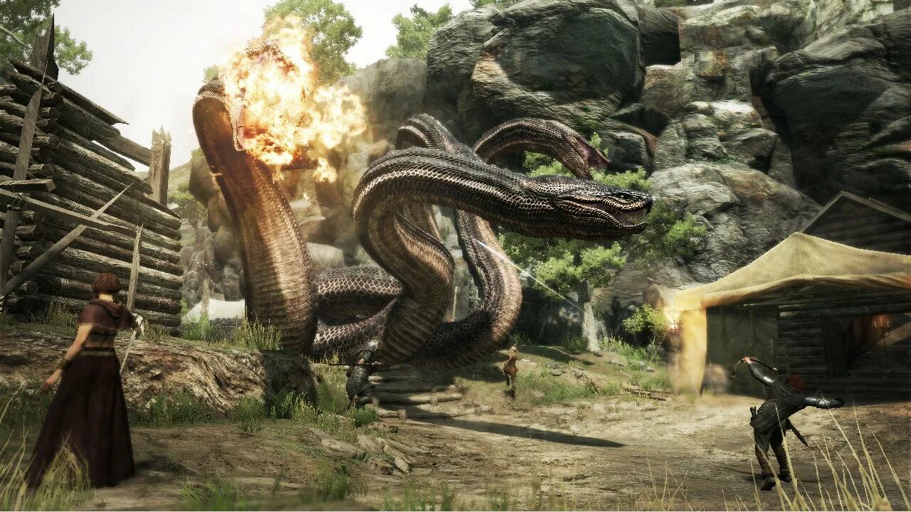 Драгон догма 2 воин. Dragons dogma 2 драконы. Dragons dogma 2 драконы. Догма дракона игра. Драгон догма 2 драконы.