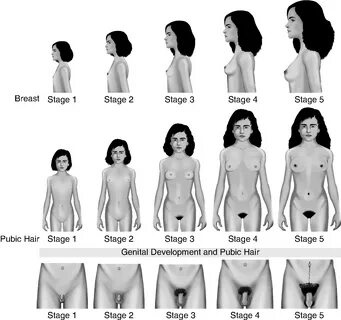 Revealing age progression - gaze at private body changes