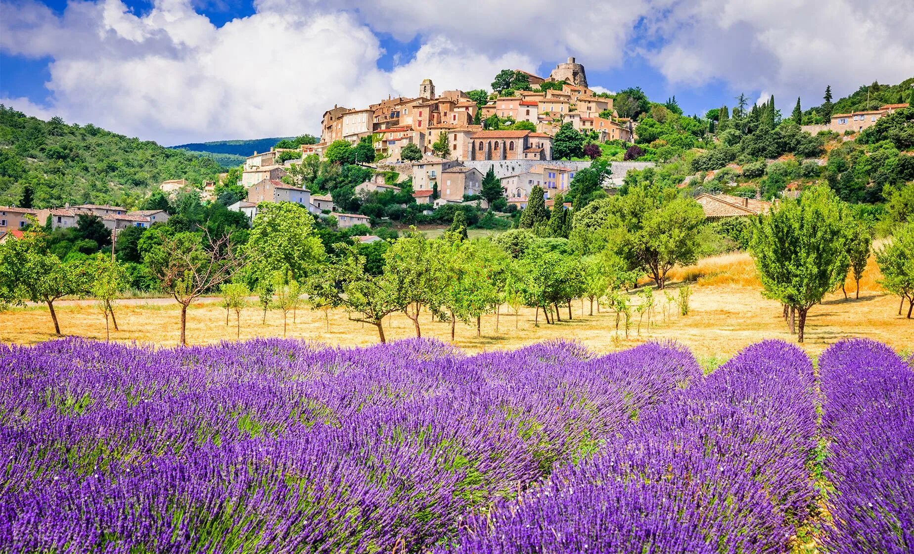 Pin on Gartenbilder Lavender fields provence, Day trip from paris, Romantic plac