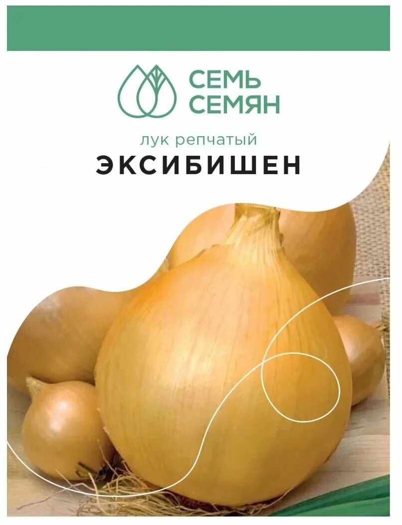 Эксибишен лук красный. Лук эксибишен семена отзывы. Лук эксибишен семена отзывы. Семена лук репчатый эксибишен. Лук эксибишен семена.