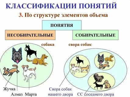 Охарактеризуйте понятия жизнь деятельность