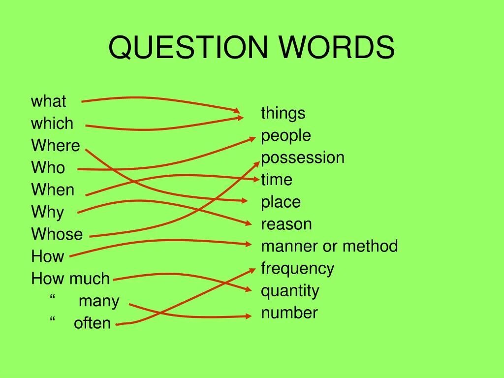 Вопросы с what who where when why how. Question Words. Question Words вопросительные слова. What which who разница.