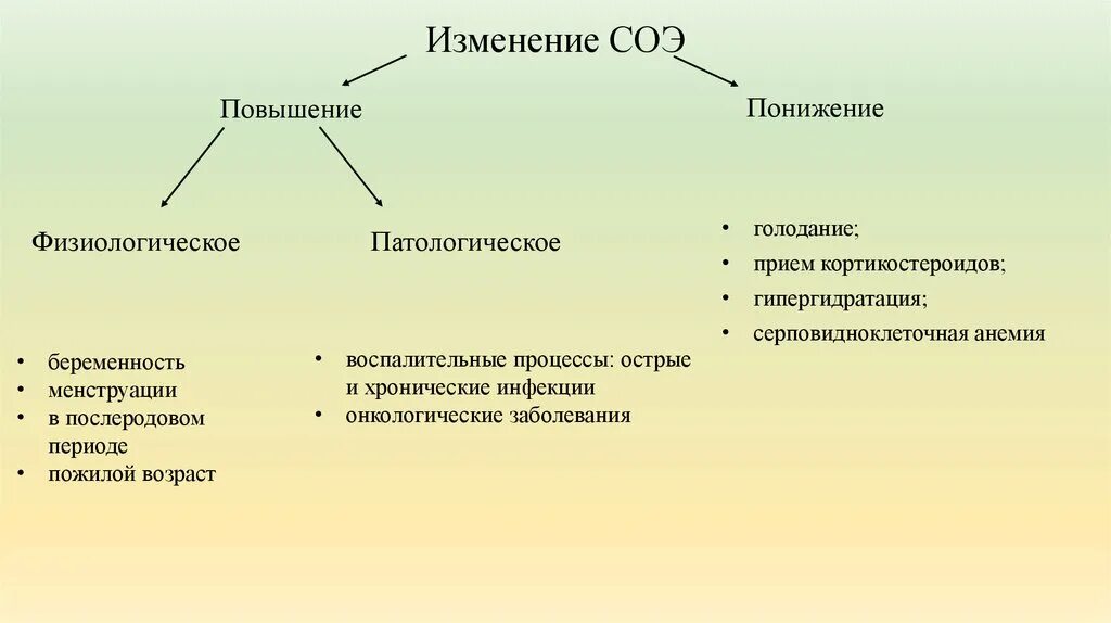 Как понизить соэ в крови. Физиологическое повышение СОЭ. Механизм развития СОЭ. Факторы определяющие СОЭ. Причины изменения СОЭ.