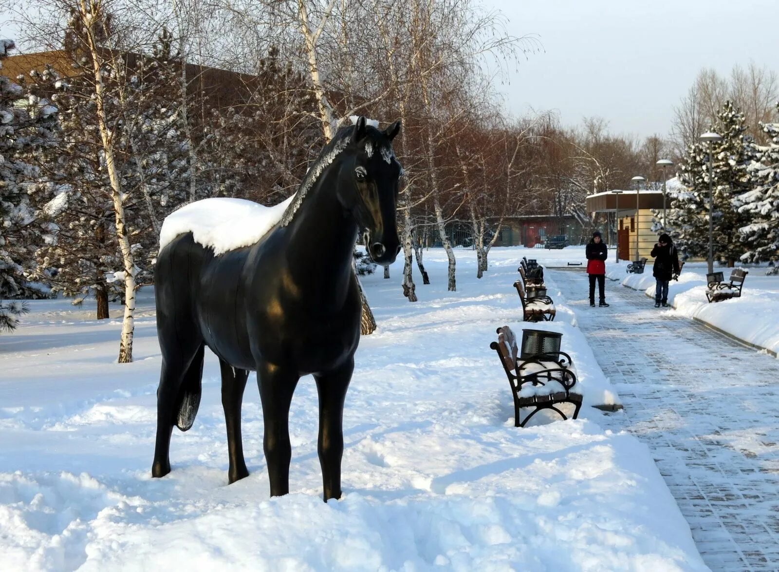 Лошадка в парке