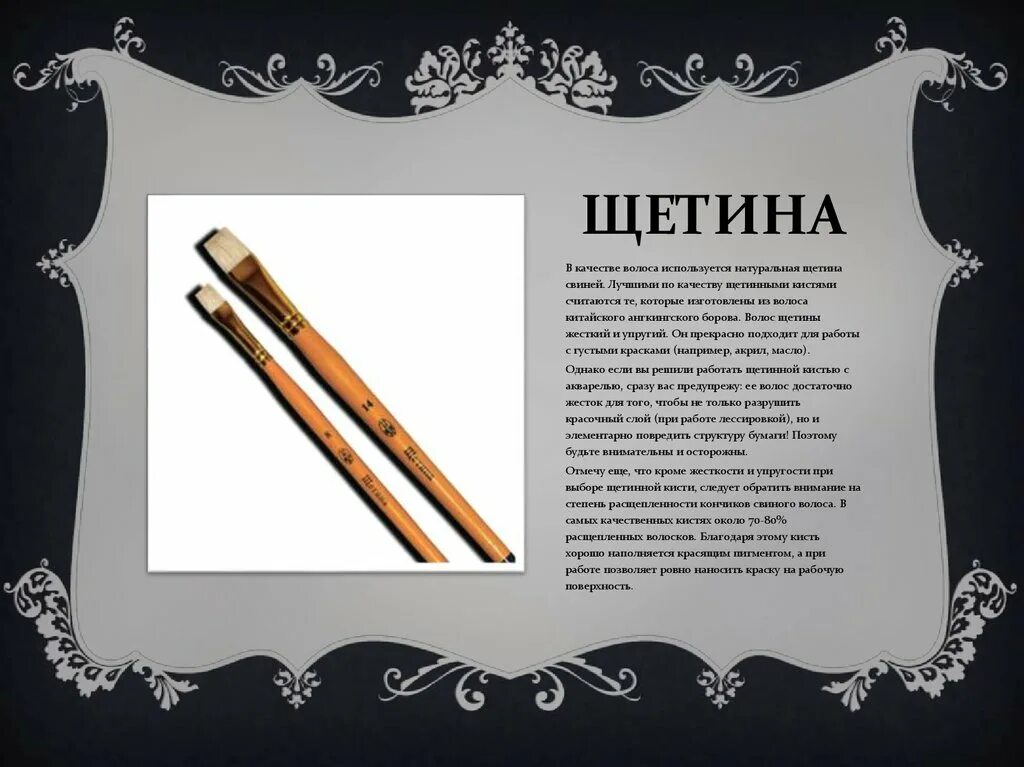 Презентация кисть. Кисти коза пони белка чем отличается. Кисти для презентации. Кисти для презентации. Кисточка на прозрачном фоне.
