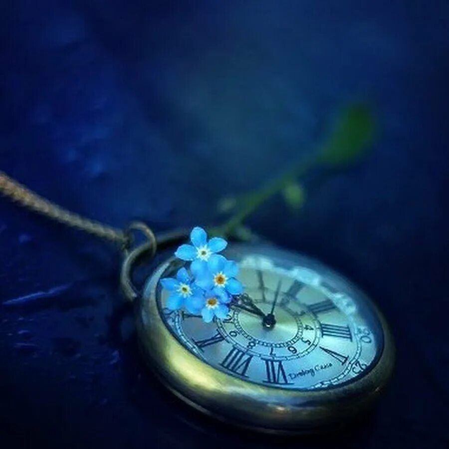 Часы. Акция счастливые часы. Обои на часы. Час счастья. Счастливый час.