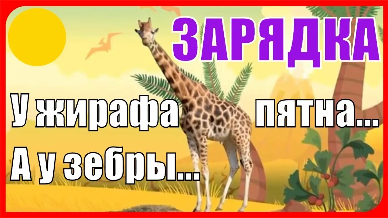 Песенка жирафа пятна пятна пятнышки. Пятна жирафа. у жирафа пятна пятнышки везде. жирафик зарядка для детей. физминутка про жирафа.