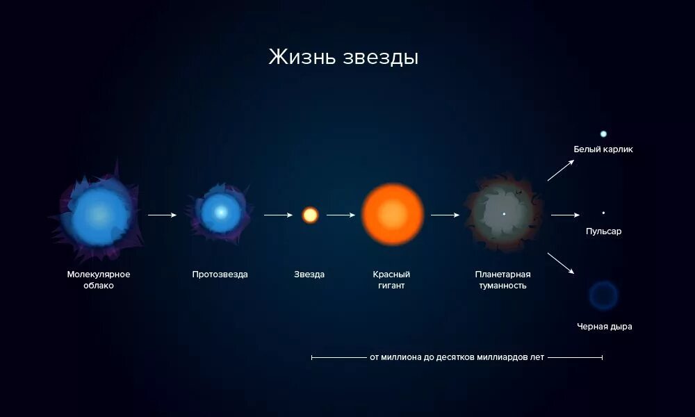 Жизненный цикл звезд схема астрономия. Этапы жизненного цикла звезды. Этапы формирования звезды. Жизненный цикл звезд протозвезда.