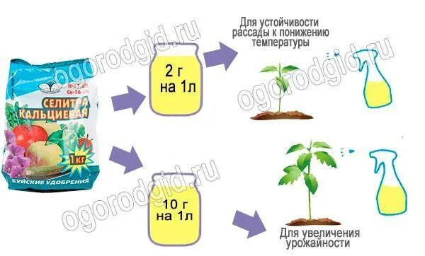 Как развести кальциевую селитру. Как развести кальциевую селитру