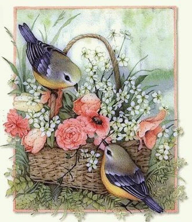 Добрый день птички. Открытки с птичками. Старые открытки с птичкой. Старинные открытки с птицами.