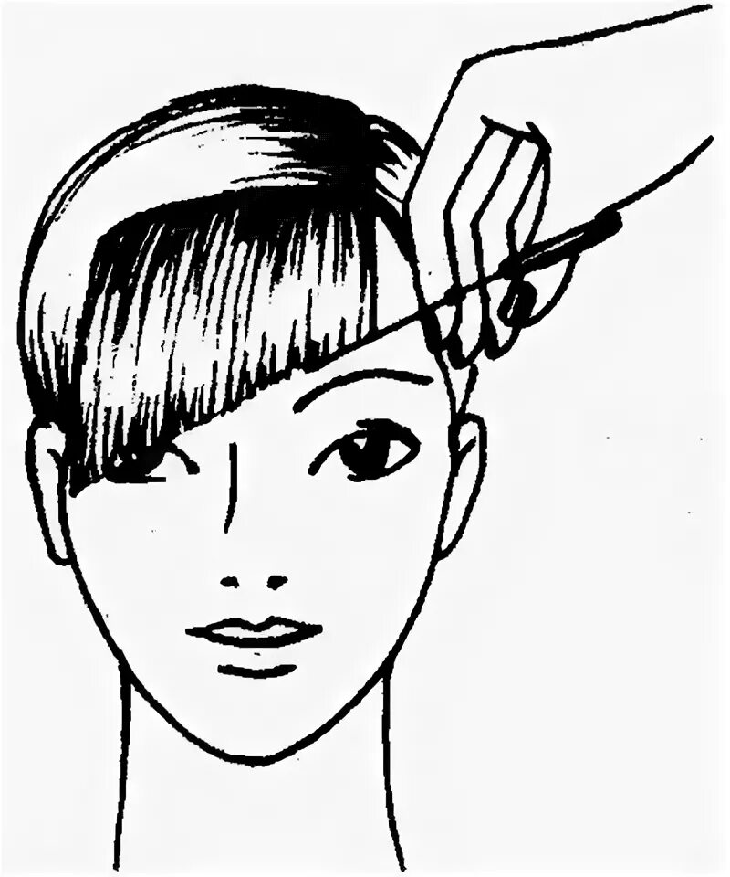 How to choose the right Bangs for your face shape Hair cutting videos, Haircut f